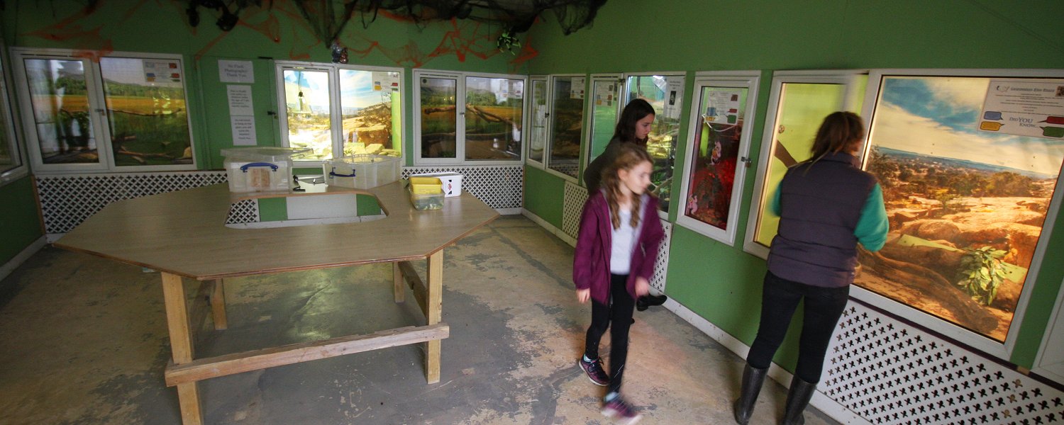 Family Days out Wiltshire Swindon Butterfly World Craft Village M4 Junction 16