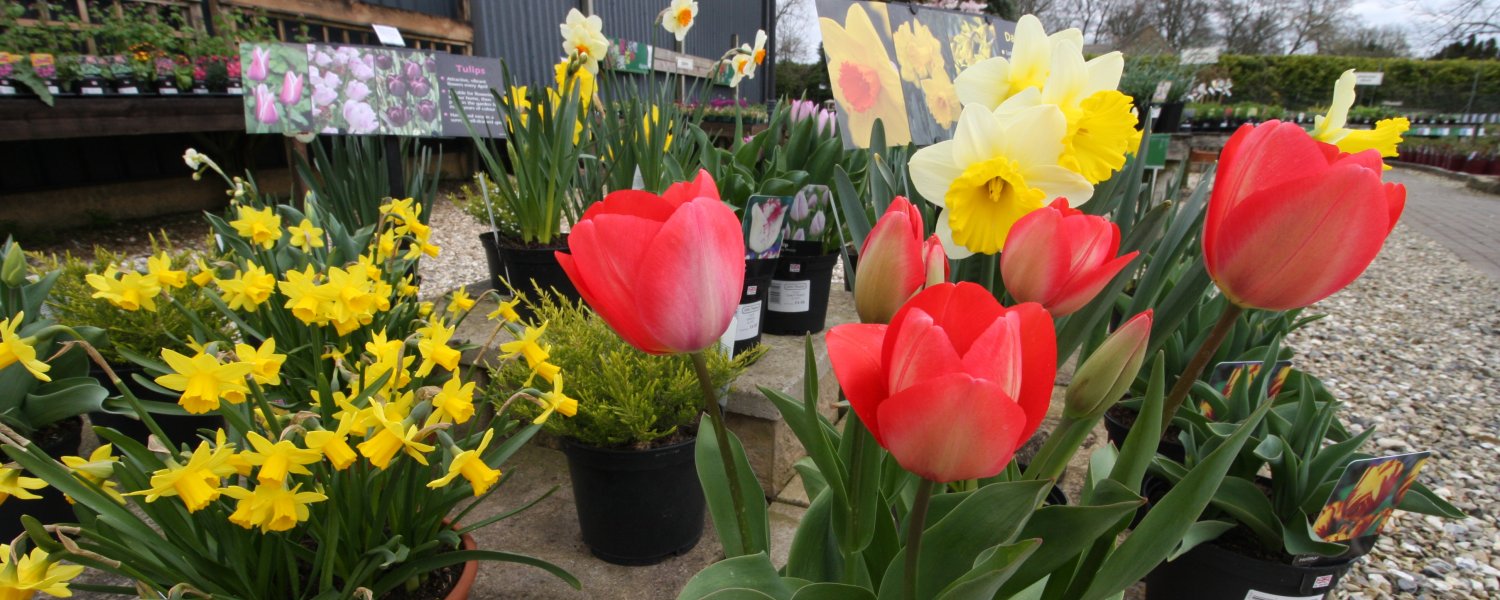 Toomers Garden Centre Swindon & Cirencester, Garden, Pet Shop & Horse